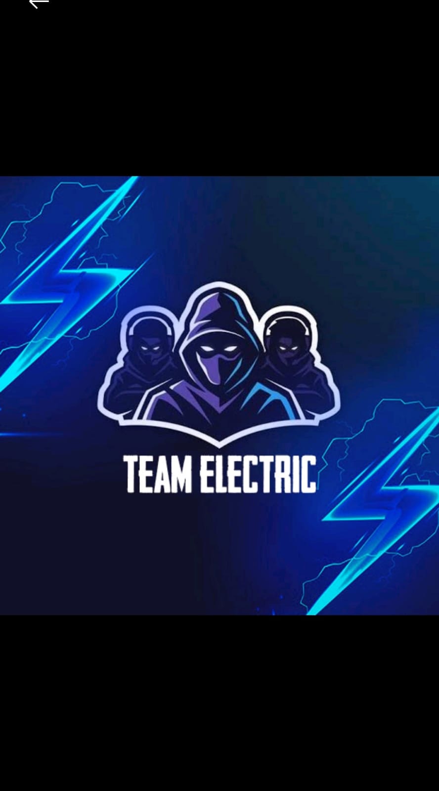 Team Electric logo